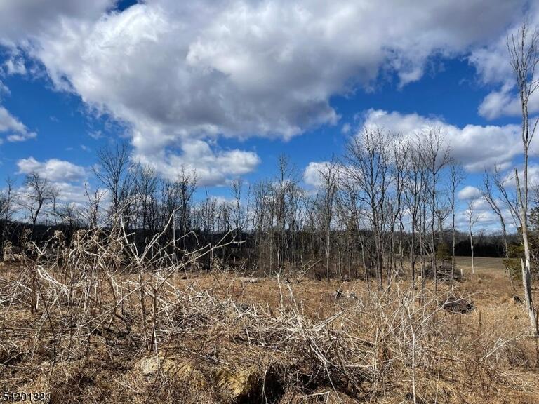 Property listing MLS 4017668 photo 2