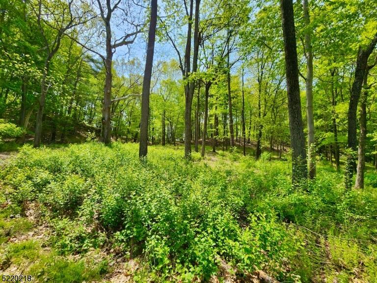 Property listing MLS 4026578 photo 26