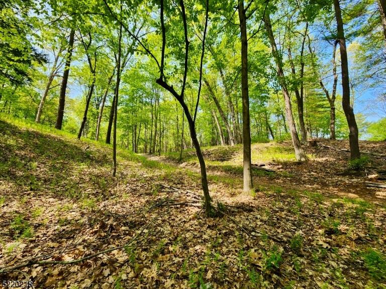 Property listing MLS 4026578 photo 32