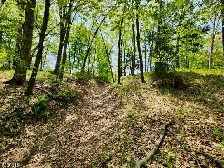 Property listing MLS 4026578 photo 33