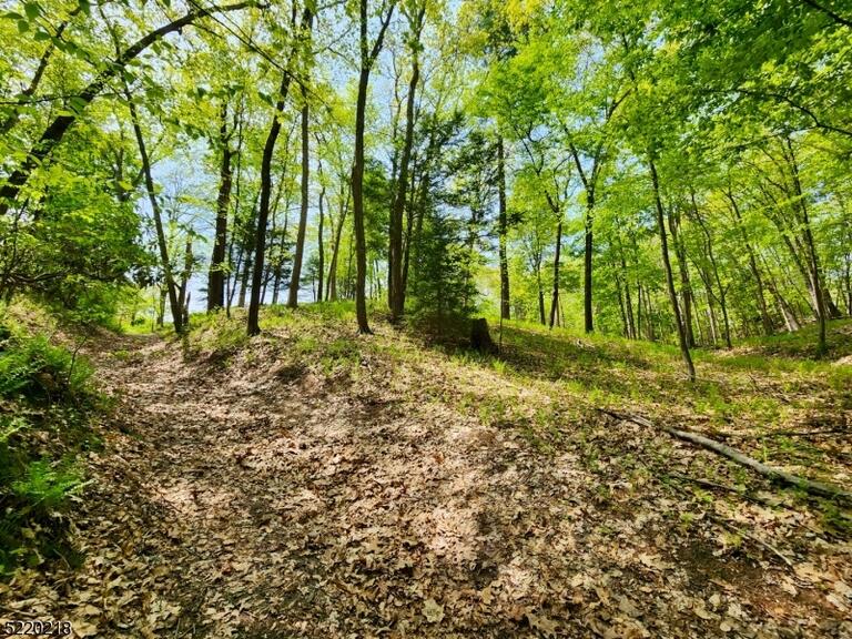 Property listing MLS 4026578 photo 34