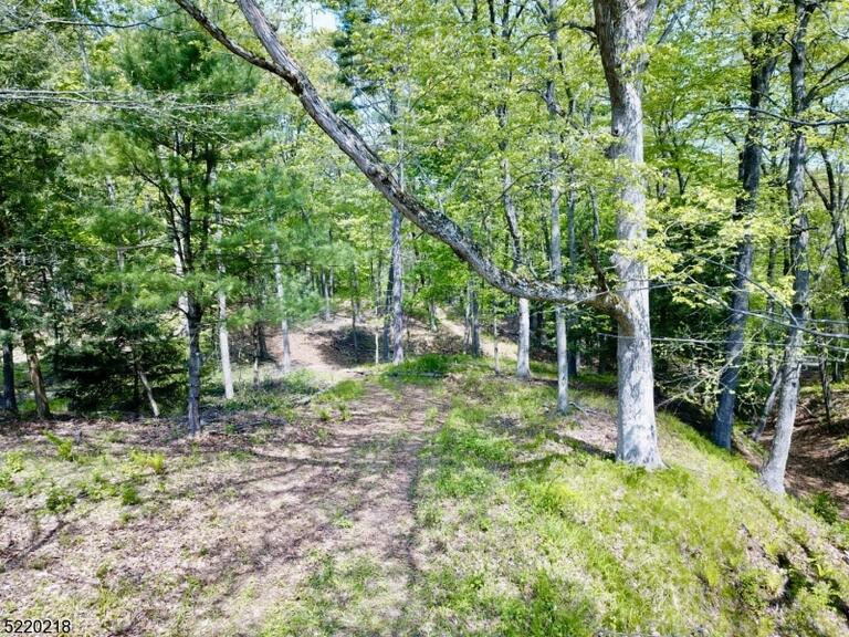 Property listing MLS 4026578 photo 39