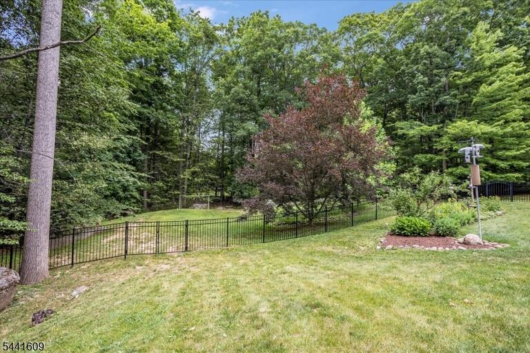 image-4048301-36.jpeg