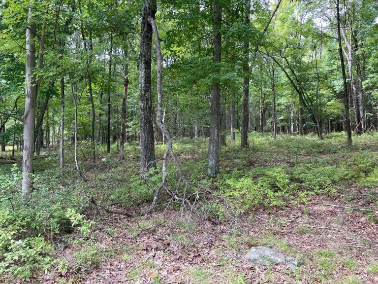 Property listing MLS 4049673 photo 1
