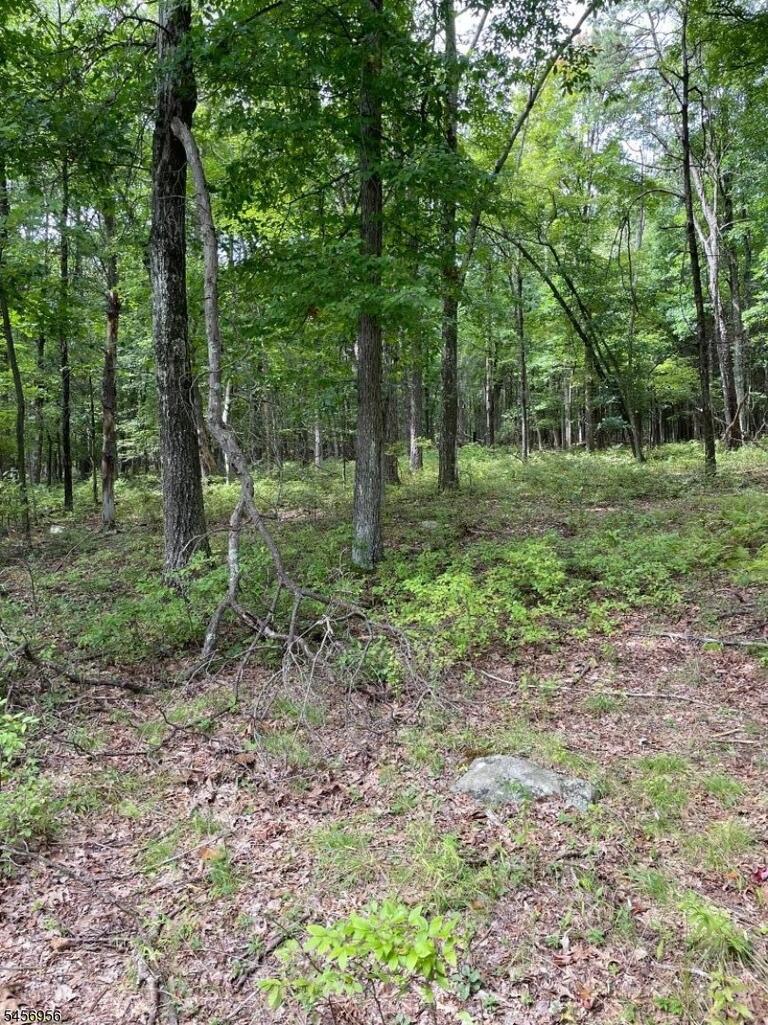 Property listing MLS 4049673 photo 3