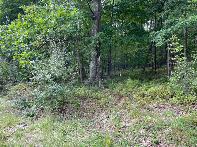 Property listing MLS 4049673 photo 5
