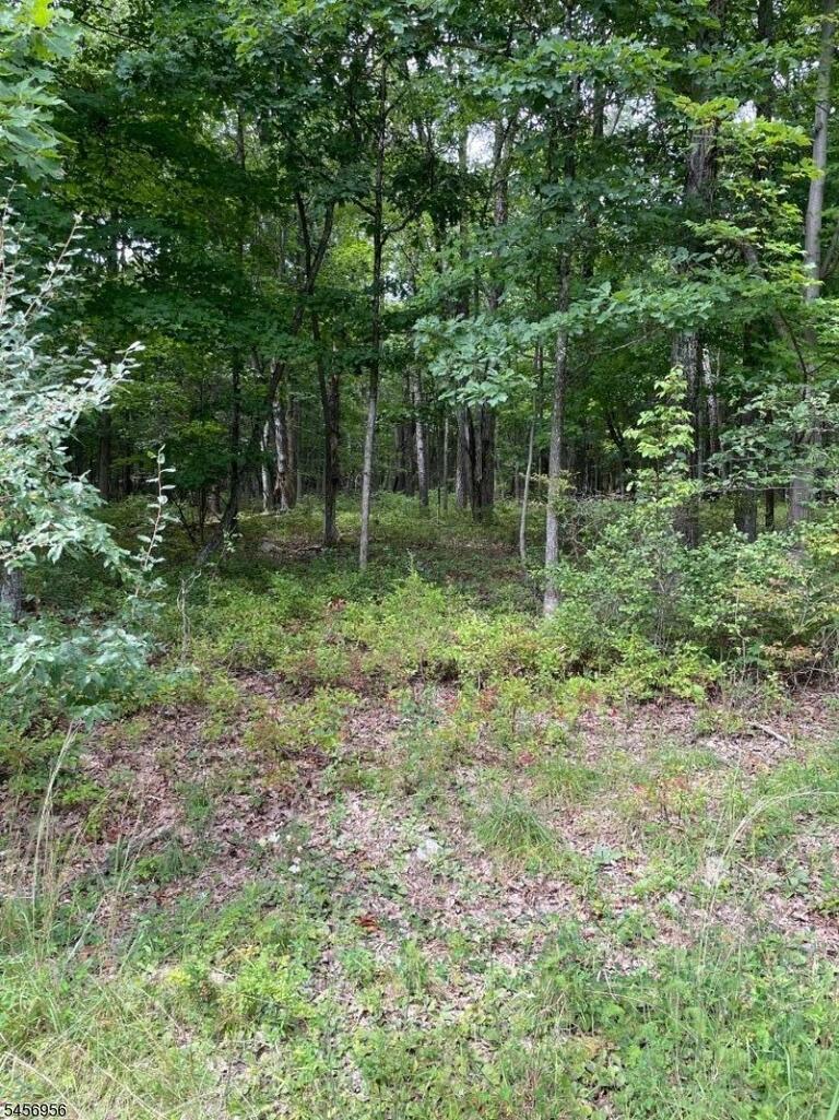 Property listing MLS 4049673 photo 7