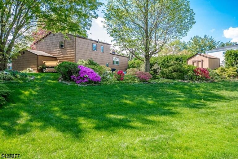 image-4023894-2.jpeg
