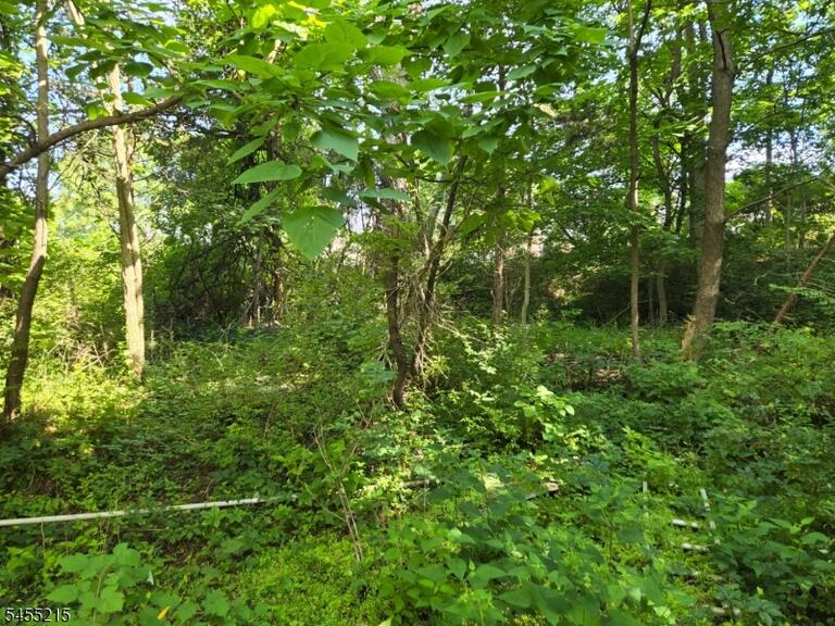Property listing MLS 4048309 photo 1